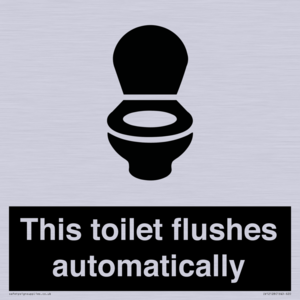 This toilet flushes automatically